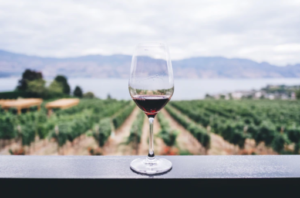 wines